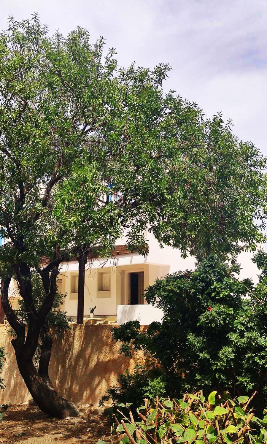 Anthelia Apartments Myrties Luaran gambar